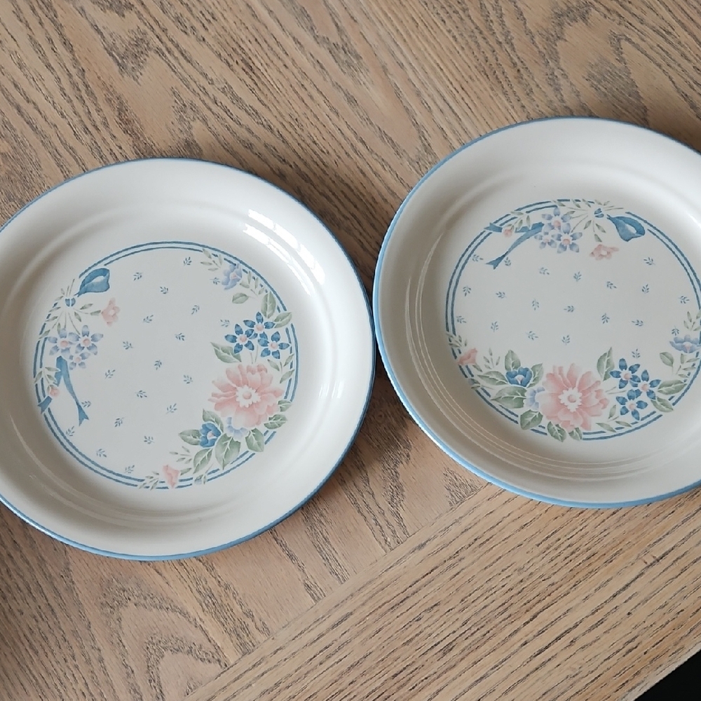Vintage Cottagecore Corelle Floral Blue Dinner Plates - Set of 2